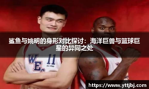 鲨鱼与姚明的身形对比探讨:海洋巨兽与篮球巨星的异同之处